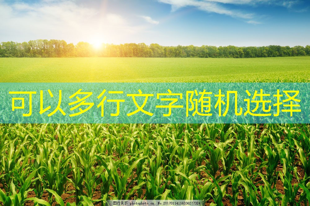 2025年03月15日CPI同比涨幅持续低于2%