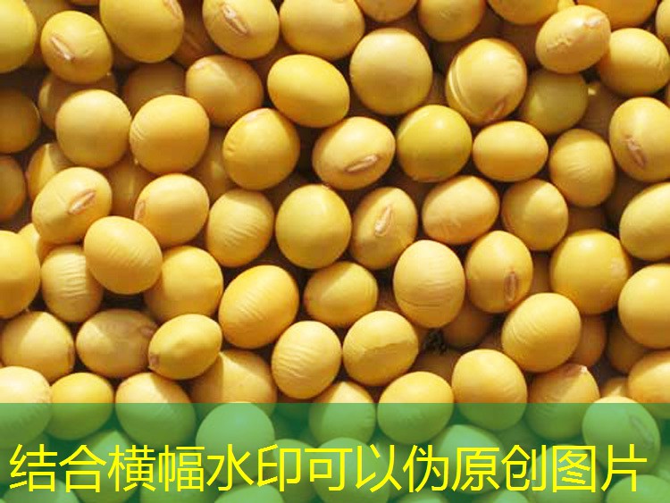 一周天气分享到来源：2025年10月03日天气分享