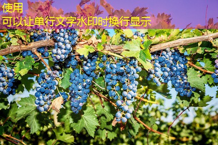 5月20日CBOT评论：玉米期货降至六周低点，因技术性卖盘