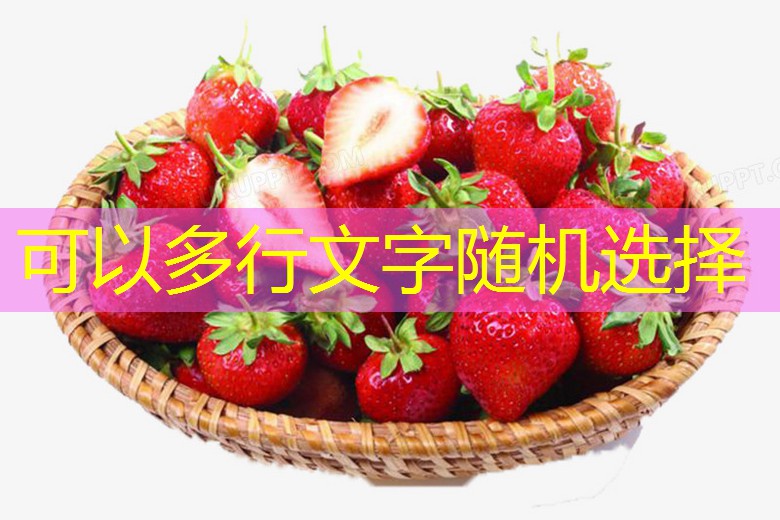 2025年10月15日黑龙江鸡蛋价格基本稳定