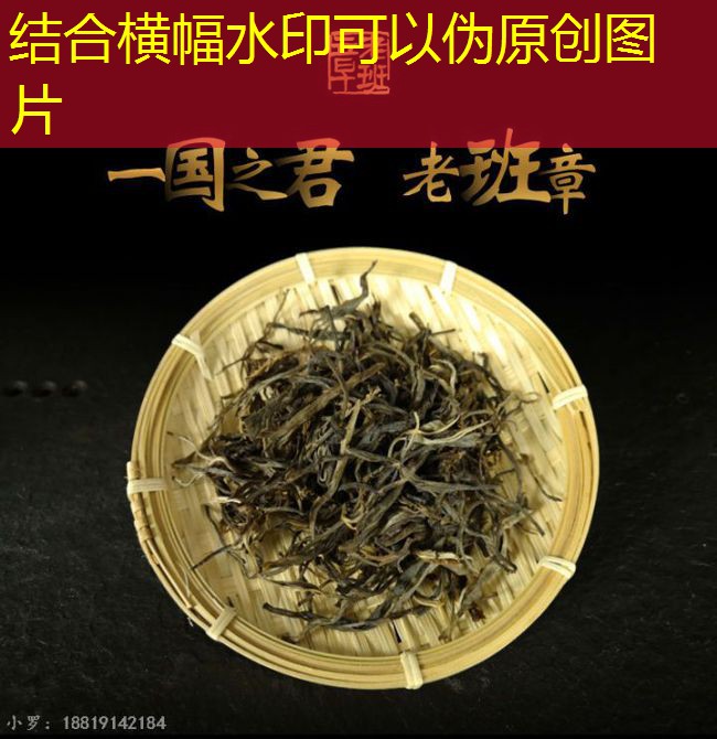 2025年03月18日至2025年03月19日国家政策性粮食竞价销售交易公告