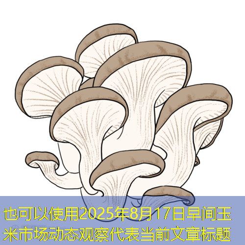 2025年8月17日早间玉米市场动态观察