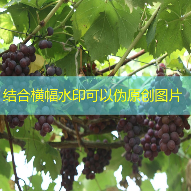 CPI 继续负增长！日本央行压力山大