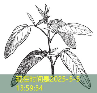 2025年11月14日四川自贡玉米价格小幅上涨