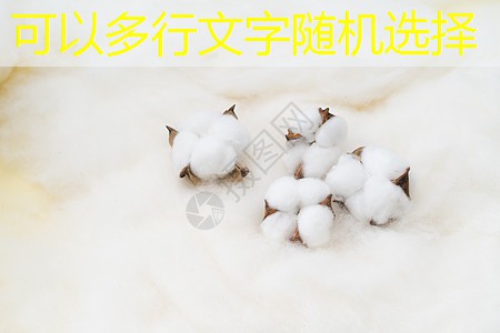 【长春站】——会议精彩回顾