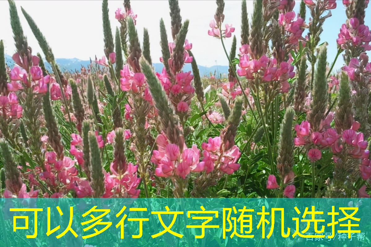 一季度经济放缓已成共识 多部委密集调研抢时间