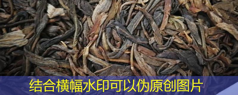 2025年10月08日国家临时存储玉米交易结果分享