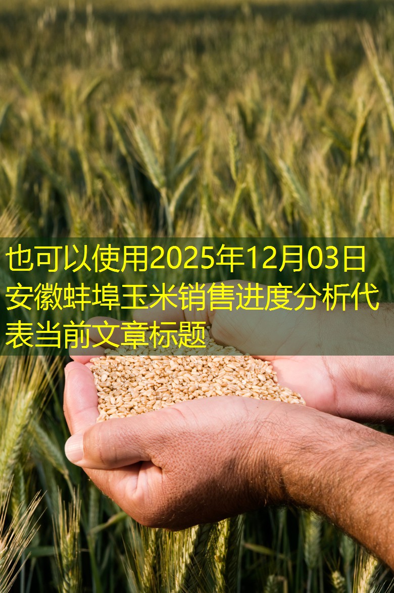 2025年12月03日安徽蚌埠玉米销售进度分析