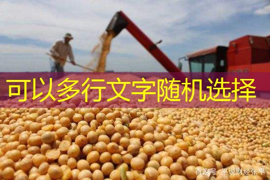 玉米价格坚挺因供应紧张（2025年10月31日）分享到来源：中国玉米网作者：张蕾发布：2012-06-25