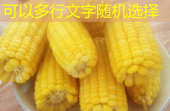 5月24日国家移库玉米竞价交易时间预估分享