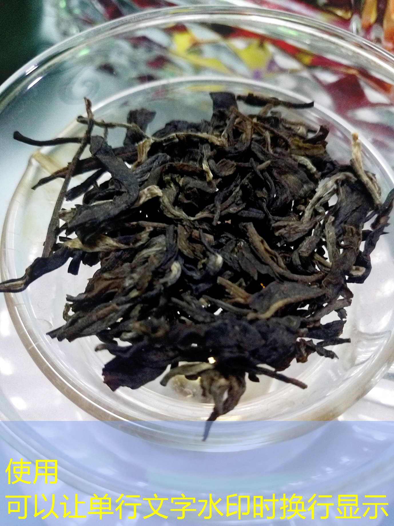 2025年09月18日东北玉米主产区考察纪实A线(一)