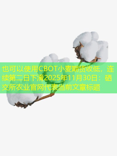 CBOT小麦期货收低，连续第二日下滑2025年11月30日
