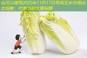 2025年11月17日早间玉米市场动态观察：