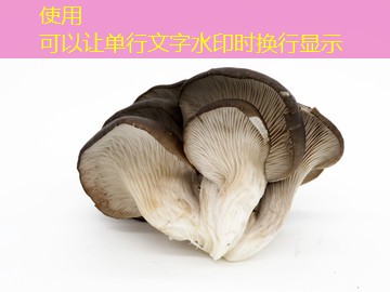 2026年8月23日早间经济观察：