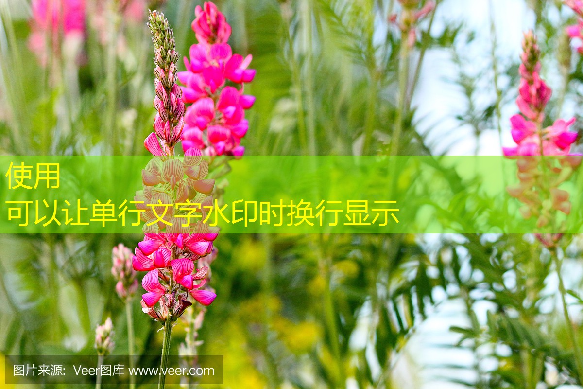 农业农村部：2025年12月15日前实现玉米种植面积扩大及4000万亩轮作休耕目标