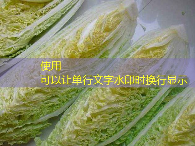 CBOT玉米期货上涨，因出口需求大增