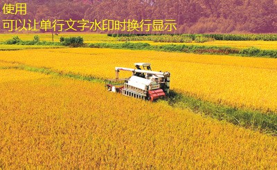 2025年03月14日江苏鸡蛋价格稳定