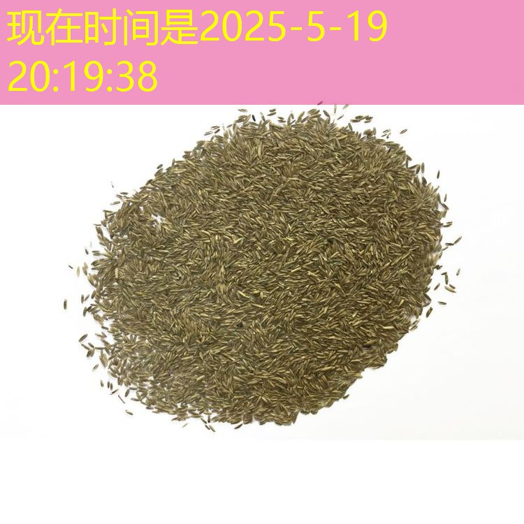 俄罗斯农业部宣布2025年11月15日起小麦关税降至91美元／吨