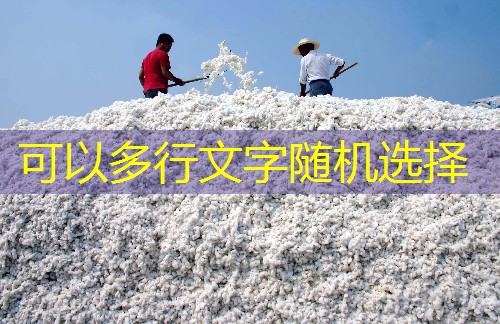 玉米价格在吉林九台上涨