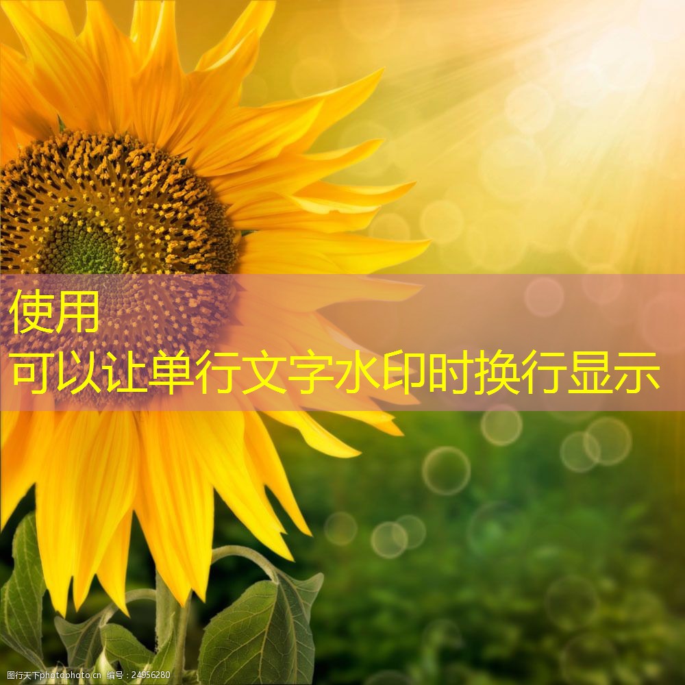 2025年12月13日广东鸡蛋价格基本稳定