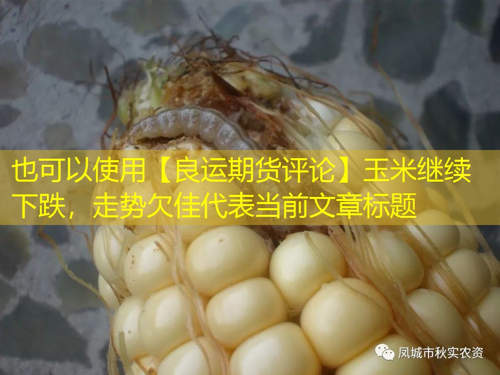 【良运期货评论】玉米继续下跌，走势欠佳