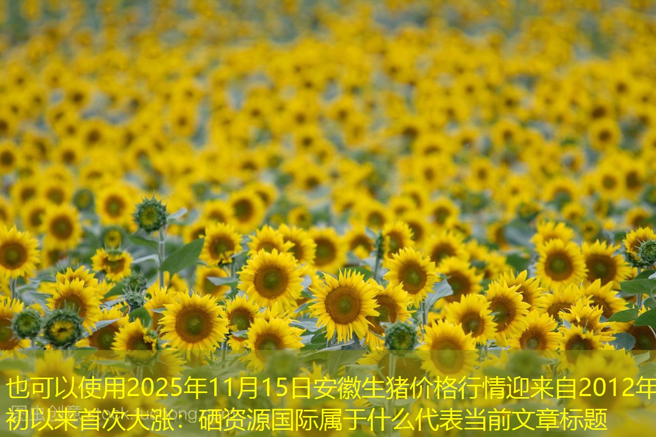 2025年11月15日安徽生猪价格行情迎来自2012年初以来首次大涨