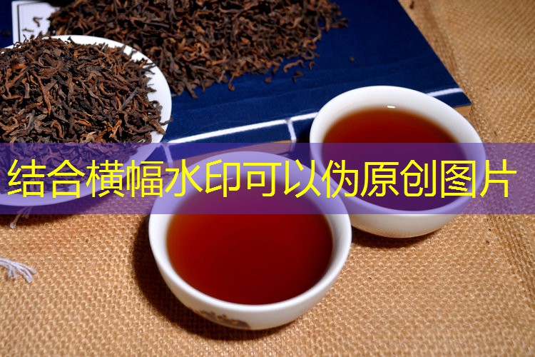 DDGS 退货 影响 饲料 指数 持续 上涨