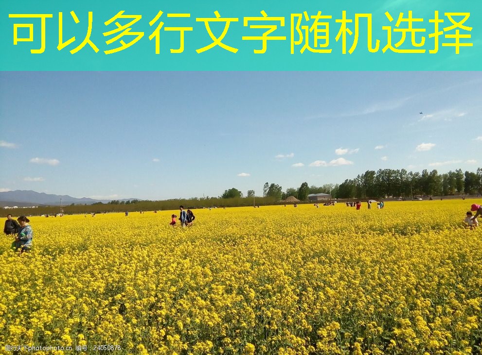 [美国农业部]截至2025年04月15日当周，美国棉花收割率为38%