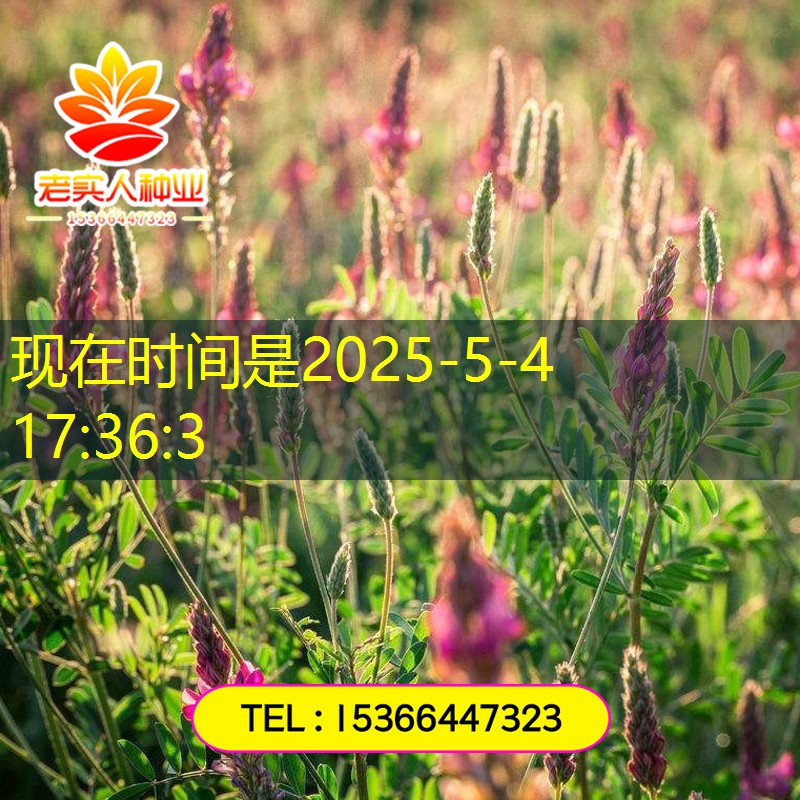 2025年11月18日玉米期货观察：商品普涨受情绪驱动，东北上量风险需关注