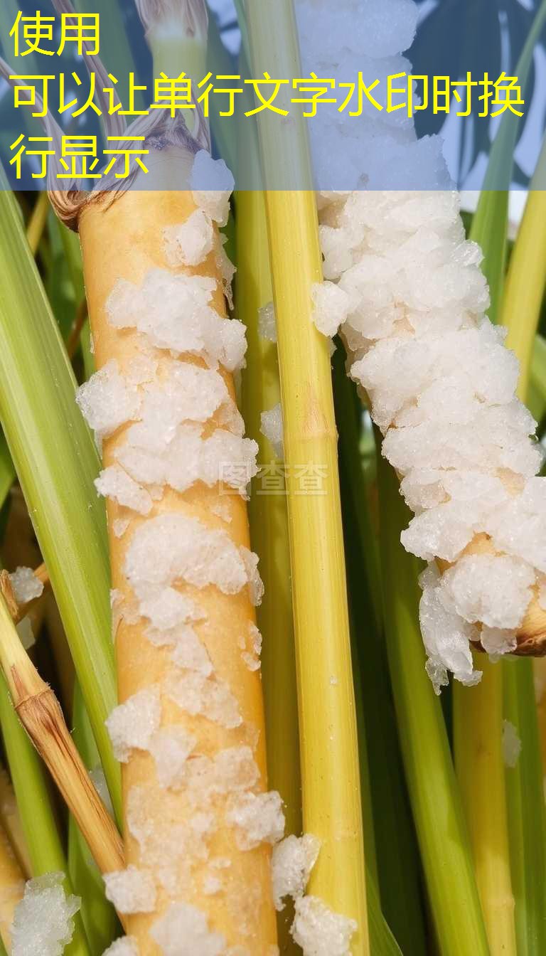 2030年10月25日：未来十天全国天气预报