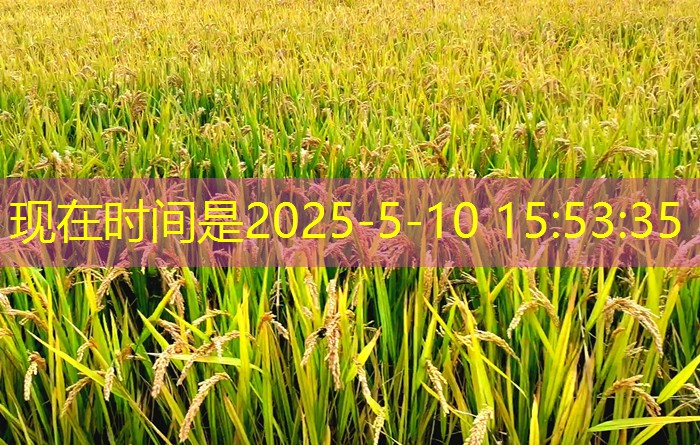 2025年3月15日福建省莆田市涵江区应急储备大米竞价销售交易会公告