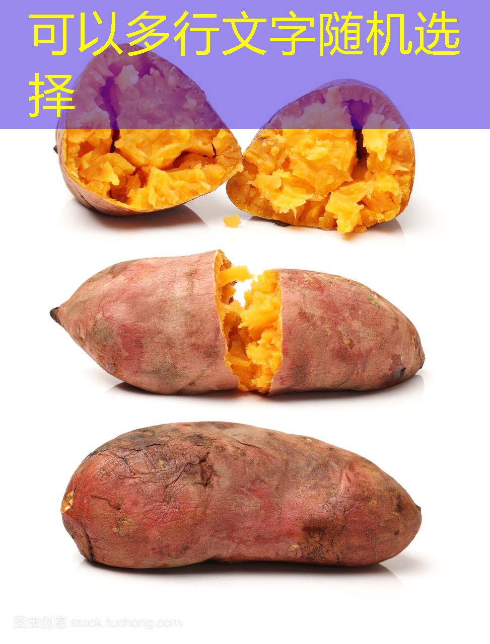 2025年03月17日四川玉米交易结果分析