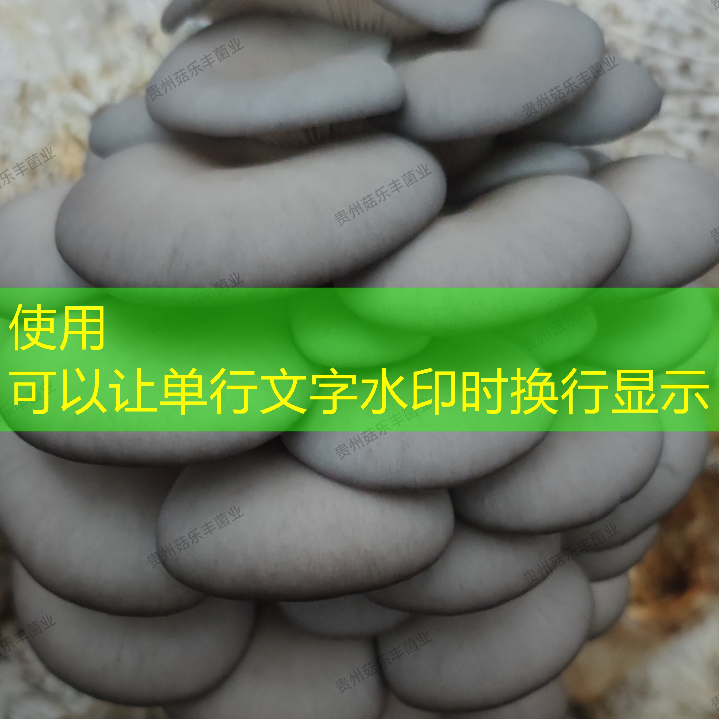 2025年12月15日数据显示：我国11月食糖出口3417吨，1-11月累计出口4.34万吨