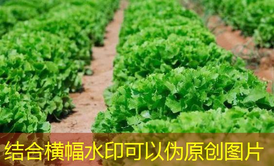 6轮强降雨，今夏辽宁省降水量比常年偏多七成2025年11月03日