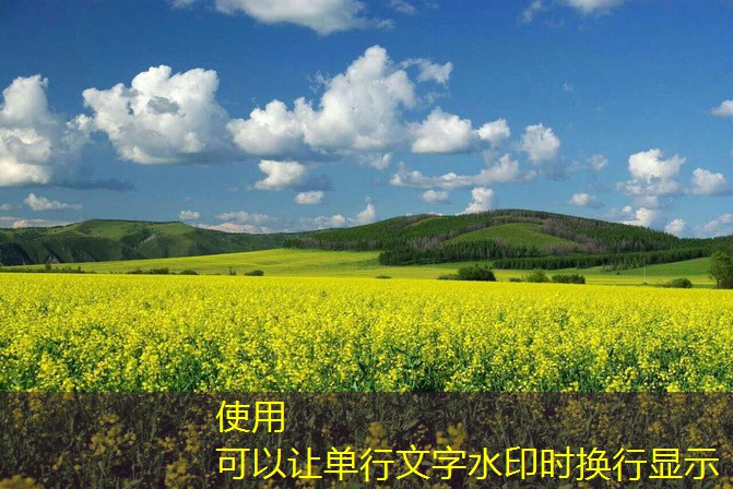 2025年3月15日福建省莆田市涵江区应急储备大米竞价销售交易会公告