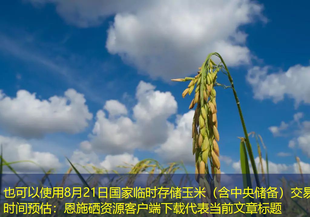 8月21日国家临时存储玉米（含中央储备）交易时间预估