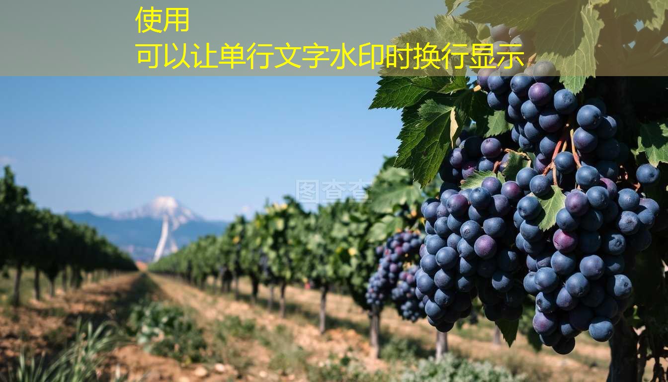 2025年10月15日CBOT评论：CBOT玉米期货急升3%至两个半月高位，因技术性买盘