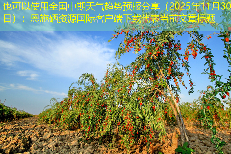 全国中期天气趋势预报分享（2025年11月30日）