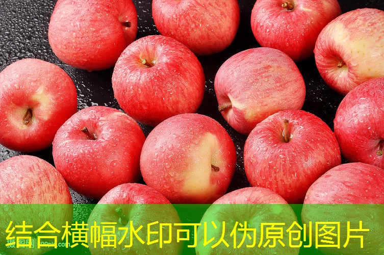 CBOT玉米期货上涨，受暴风雪推动