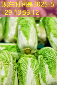 IMF 下调美国经济增长预期 呼吁推迟至明年加息