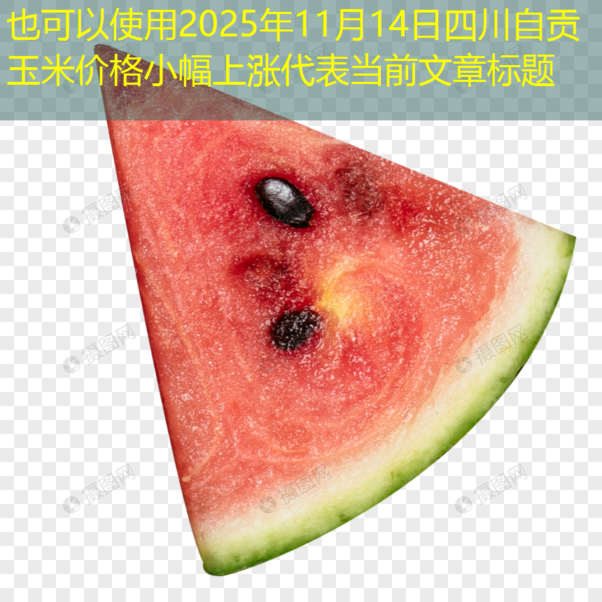 2025年11月14日四川自贡玉米价格小幅上涨