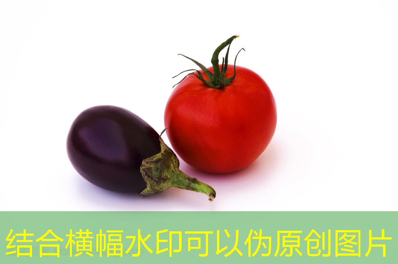 11月11日河南鸡蛋价格行情