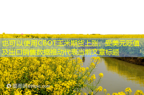 CBOT玉米期货上涨，受美元贬值及出口销售数据推动