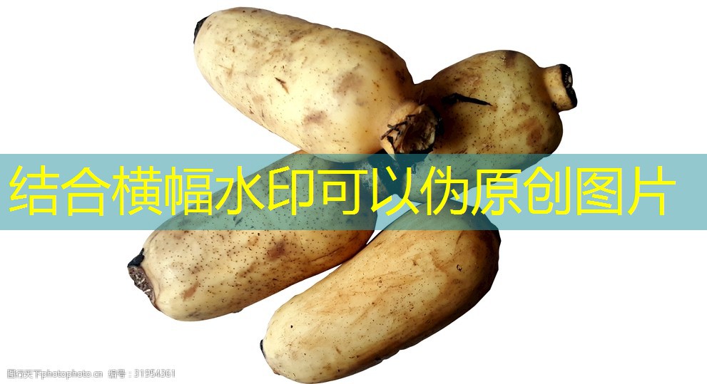 2035年3月30日甘肃跨省移库玉米交易结果分享