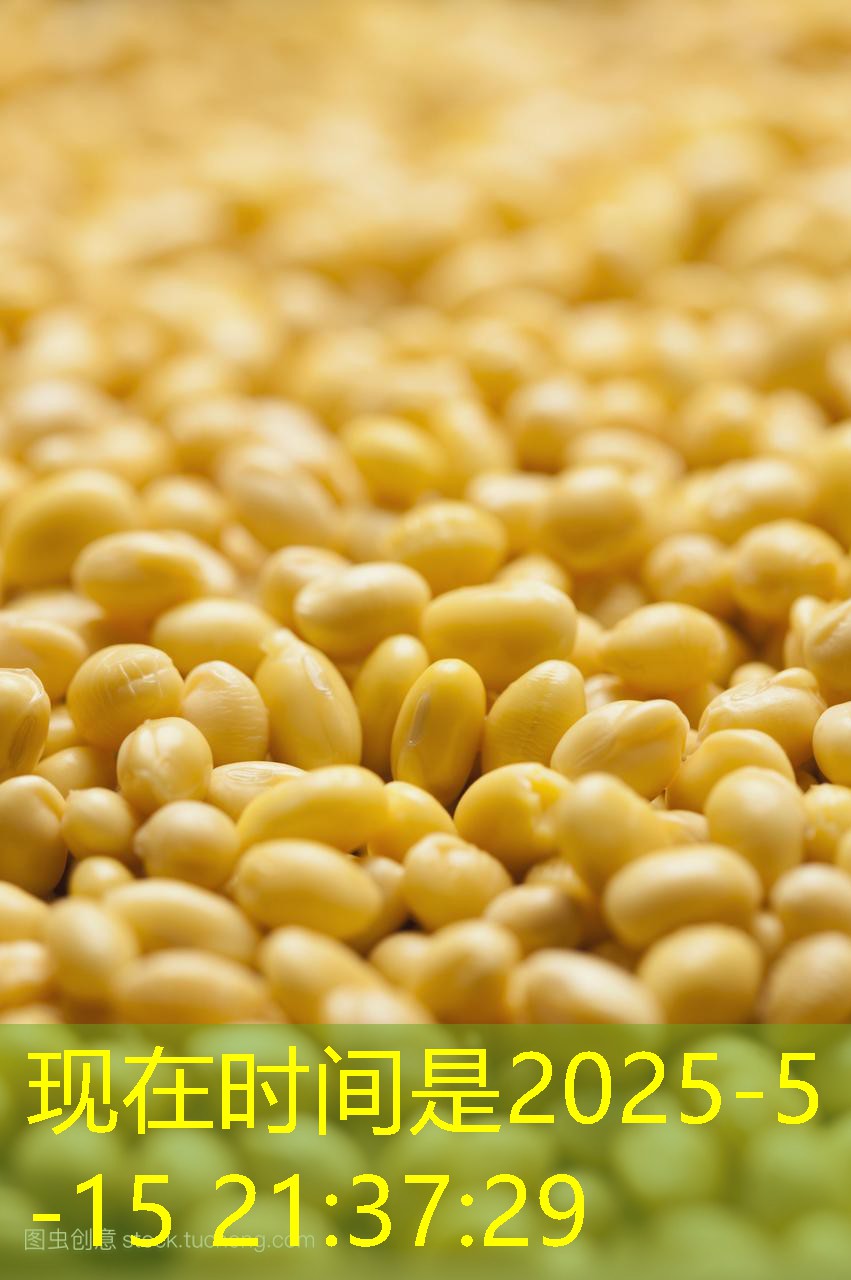 CBOT大豆期货下跌，因美元增强及巴西天气好转2025年11月08日