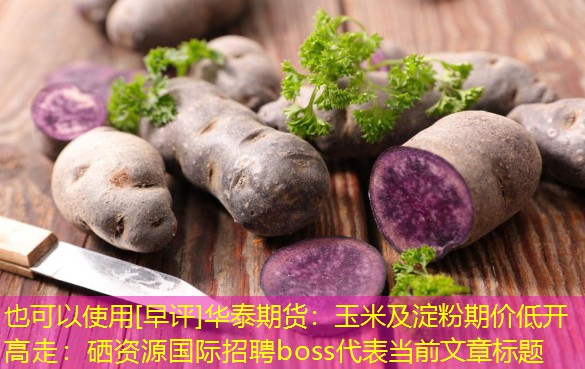 [早评]华泰期货：玉米及淀粉期价低开高走