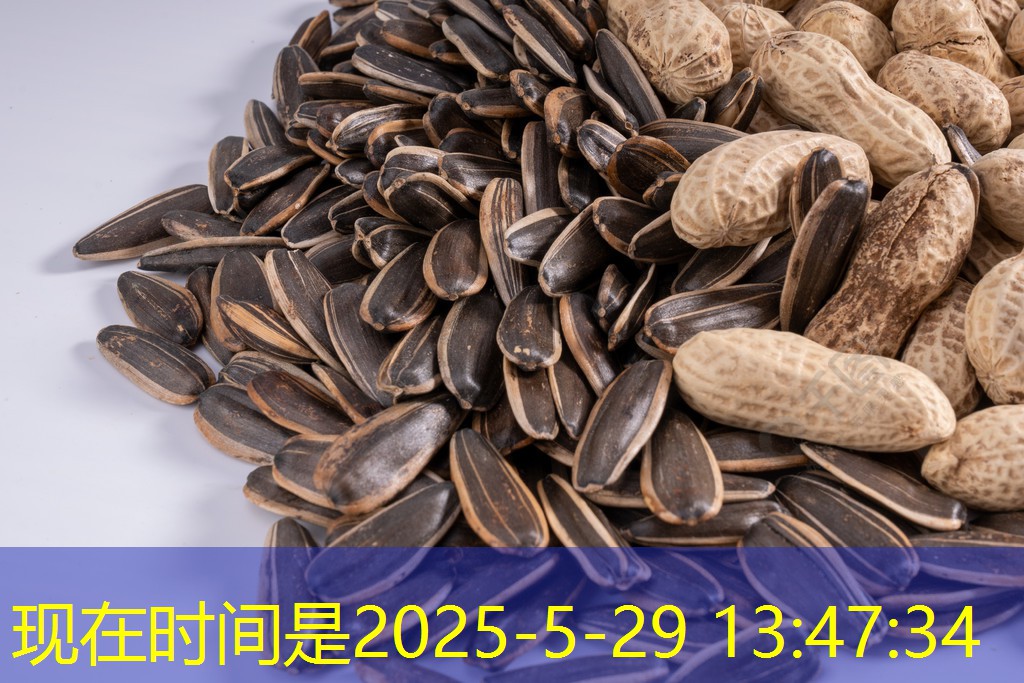 2025年11月14日CBOT玉米涨跌互现，出口数据支撑市场