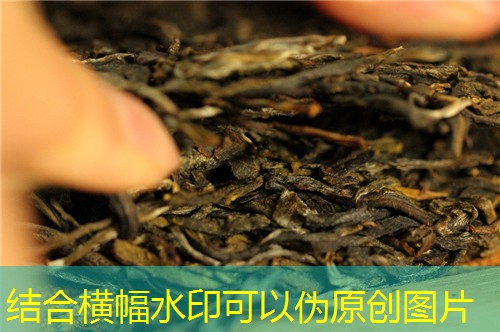 2025年10月15日河北鸡蛋价格全面上涨