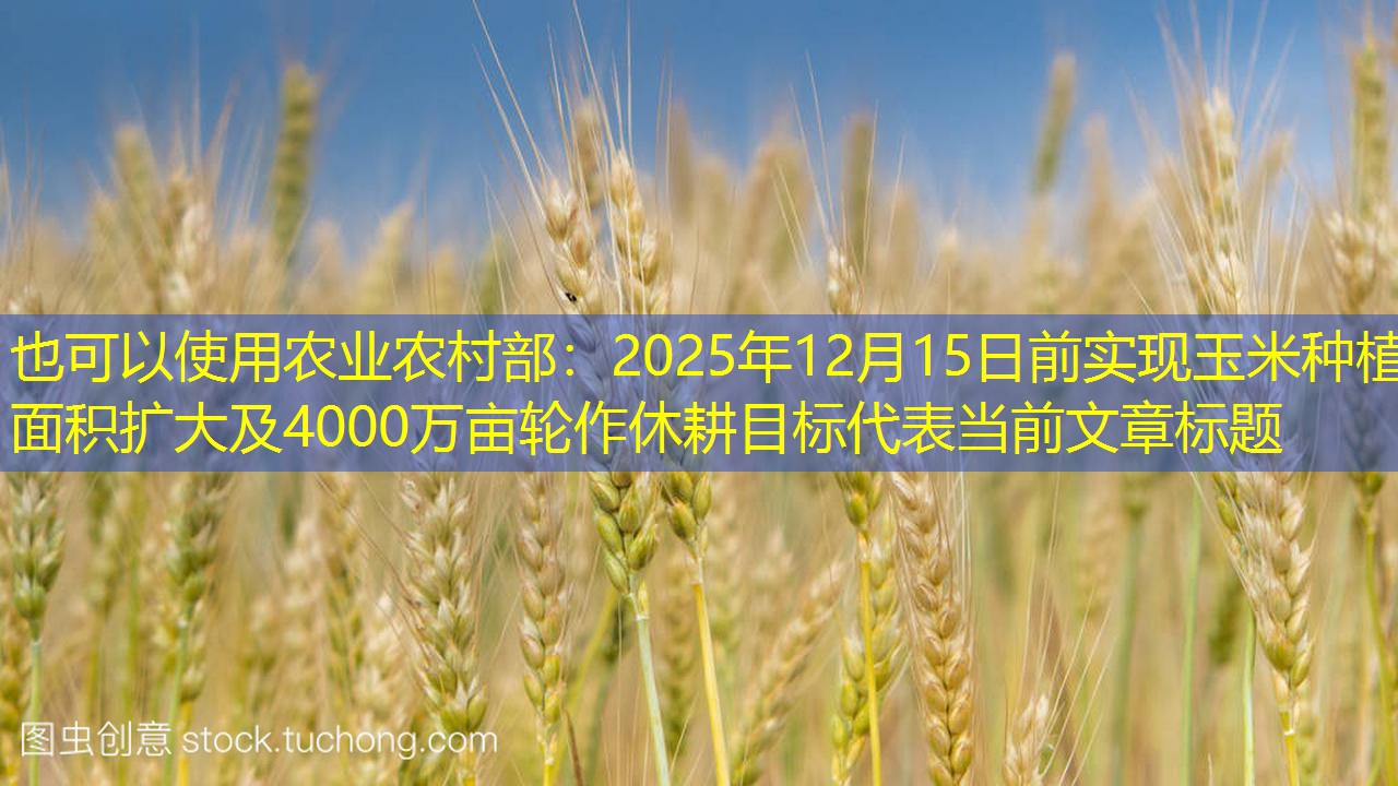 农业农村部：2025年12月15日前实现玉米种植面积扩大及4000万亩轮作休耕目标