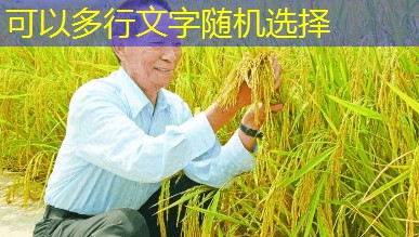 20多吨病死猪猪骨当成羊骨卖 商家被判刑